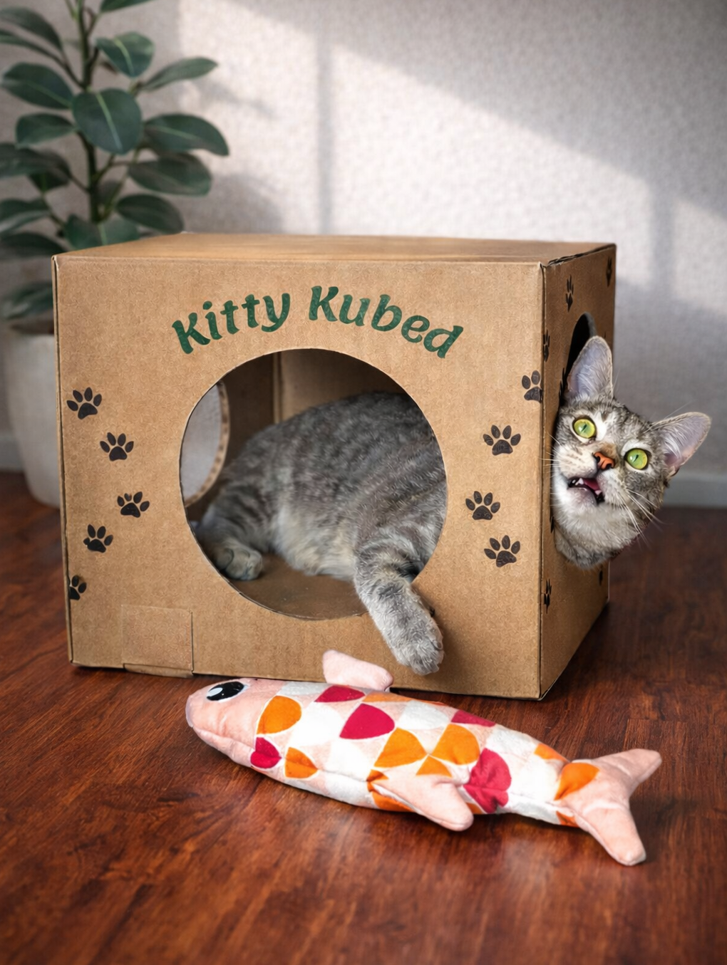 Grey tabby cat playing inside a KittyKubed sustainable cardboard enrichment box in a modern home